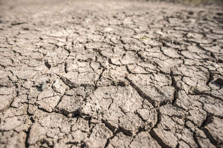 A closeup shot of arid land with a very small stem growing out of itの写真素材