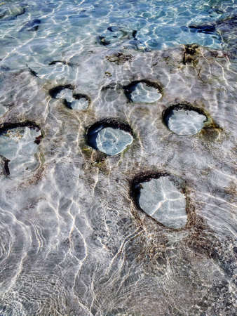 A vertical shot of the beach with blank spots on the surface in Formentera, Spainの写真素材