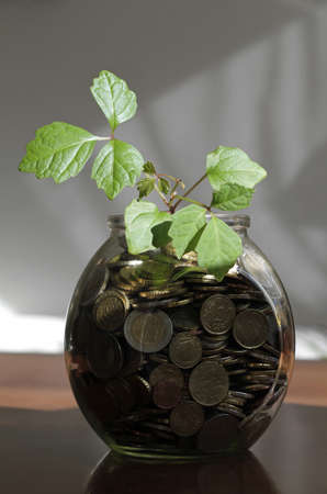A vertical shot of a plant in a glass jar filled with coinsの写真素材