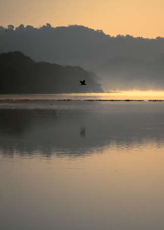 A vertical shot of a bird flying above the clear water surrounded by mountains with scenery of sunsetの写真素材