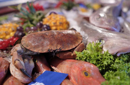 A closeup shot of a crab and seafood at fish marketの写真素材