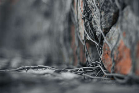 A closeup shot of rocks with a wire fence in a blurred background
