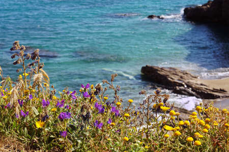 A breathtaking scenery of a beautiful sea with rock formations and flowers on the coast