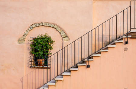 A closeup shot of the stairs passing around the green plant attached to the buildingの写真素材