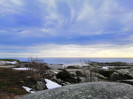 The sea surrounded by rocks covered in branches under a cloudy sky during the sunset in Norwayの写真素材