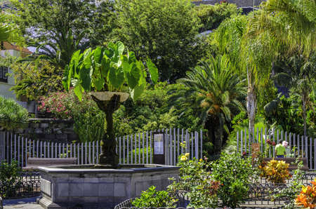 A beautiful shot of a park with different kinds of trees at day timeのeditorial素材