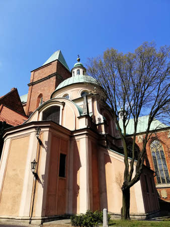 A vertical shot of the dome near Cathedral of St. John the Baptist in Warsaw with a tree in the foregroundのeditorial素材