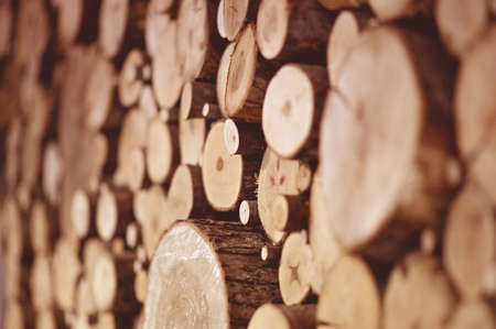 Wood trunks placed side by side-good for a background