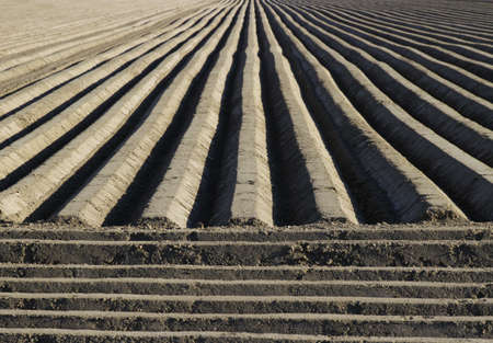 Long sets of lines made of stone and concrete extending from the stairsの写真素材