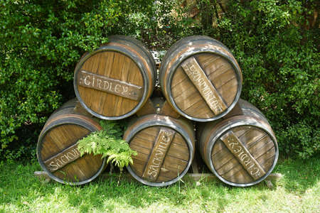 A wide shot of a pile of wooden barrels by the shrubs on a sunny day