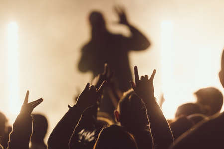 People dancing at a concert while the singer is performing surrounded with lightsの写真素材