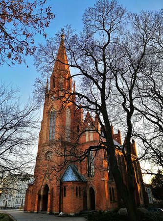 A vertical shot naked tree silhouettes and Heilig-Geist-Kirche in the background in Stargard, Polandのeditorial素材