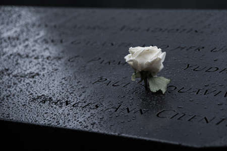 NEW YORK, UNITED STATES - Oct 24, 2017: Somber photo of raindrops on the birthday rose for Paul at...