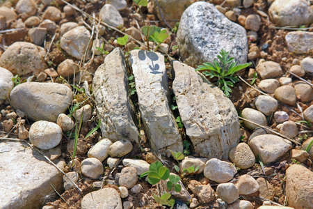 A high angle shot of big and small rocks