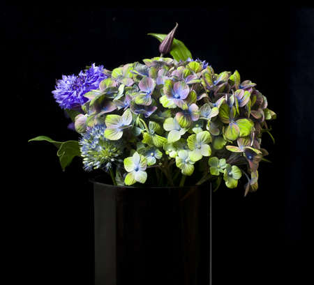 A closeup shot of hydrangeas and cornflower in black vase against a black background