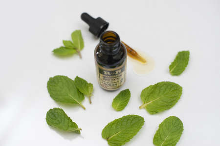 A closeup shot of a brown bottle with medicine and a medicine dropper next to it with green leaves