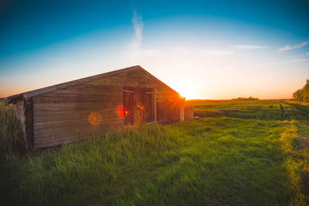 A beautiful view of a cabin on a green field under the clear sky captured in Zeeland, Netherlandsのeditorial素材