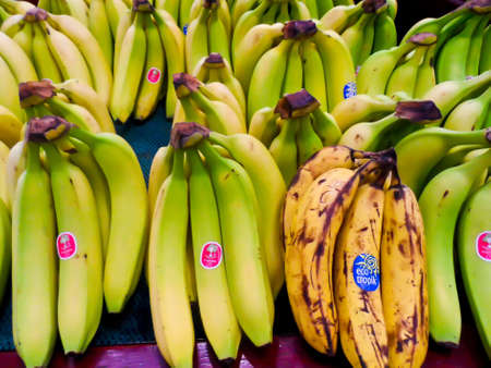 PUERTO VALLARTA, MEXICO - May 14, 2013: One overripe bunch of bananas among fresh fruitのeditorial素材