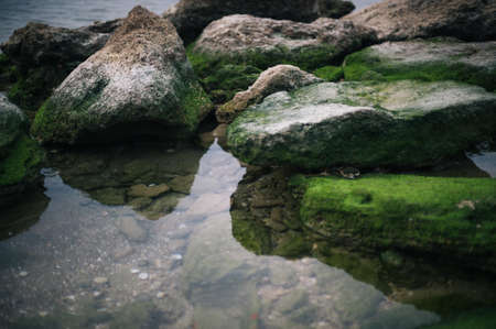 A high angle shot of stones covered by green moss in the water