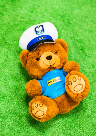 A top view of a fluffy teddy bear in police uniform on a green cloth