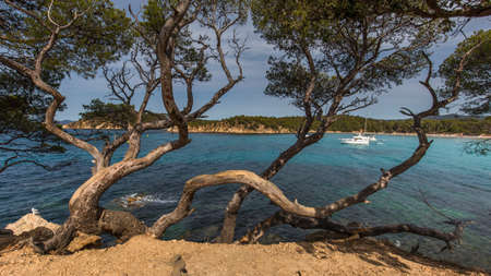 The sea surrounded by beaches covered in greenery under the sunlight at daytimeの写真素材