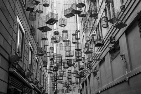 A grayscale shot of birdcages attached to ropes in the middle of buildingsの写真素材