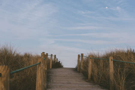A beautiful shot of a boardwalk in the fields full of dried grass under the blue sky