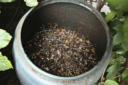 A backyard composting barrel. Eco-conscious living concept image.