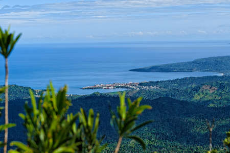 A closeup shot of tropical green leaves with a breathtaking landscape by the sea in the backgroundの写真素材