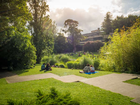LISBON, PORTUGAL - Jul 14, 2018: Calouste Gulbenkian foundation garden with a view of the lawns. An urban park open to the public, and very popular especially among College students.のeditorial素材