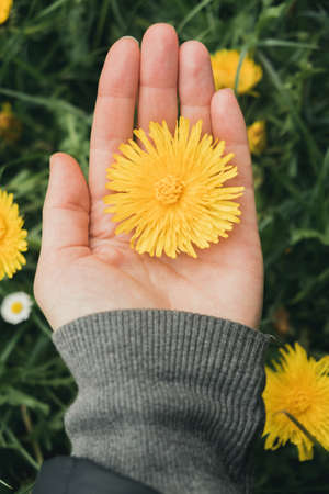 A vertical shot of a girl holding a yellow dandelion