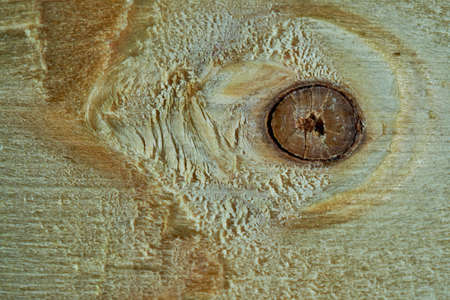 A high angle closeup shot of a lumber texture for a background