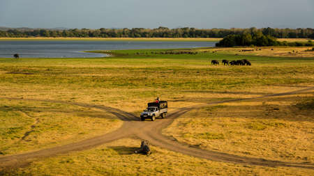 A car driving on a pathway in the middle of dry grassy fieldsの写真素材