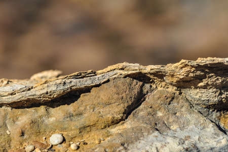 A closeup shot of the rocky  surface with a blurry background