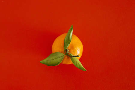 An overhead shot of the mandarin with leaves on the red backgroundの写真素材
