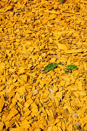 Background made of small wooden pieces.の写真素材