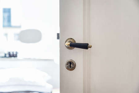 Detail of vintage door with period style door handleの写真素材