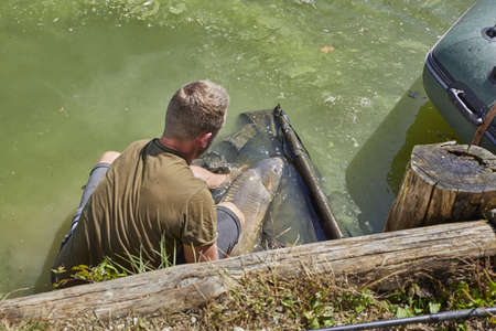 A male fishing in the Smartinsko lake, municipality Celje, Savinjska region, Sloveniaの写真素材