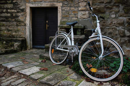 A beautiful vintage bicycle placed outside