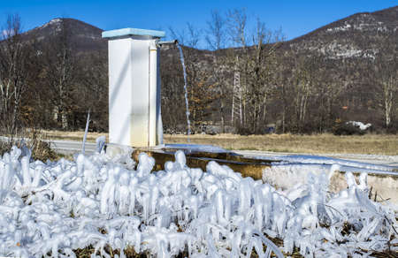 Many icycles on the branches of tree during daytimeの写真素材