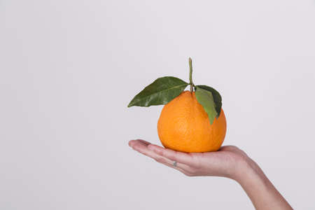 A fresh organic orange fruit on the palm of a woman's hand isolated on white background