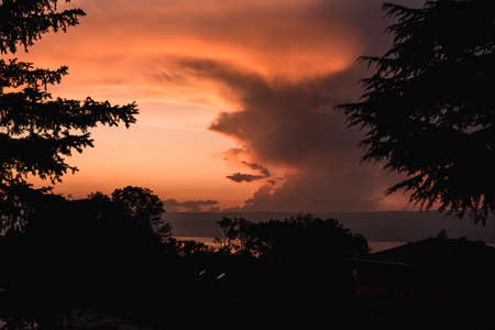 A breathtaking shot of an orange sunset with silhouettes of trees