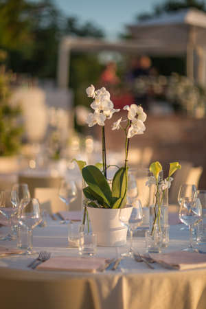 A table with glasses and decorative flowers under the sunlight in a restaurantの写真素材