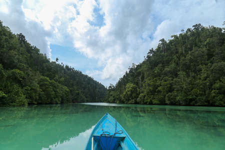 POV on the kayak on the Green river through the dense jungle inthe frorest of Raja Ampat, West Papua province, Indonesiaの写真素材