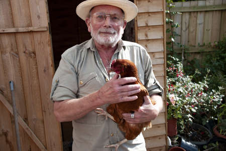PONTCYMER, SOUTH WALES, UNITED KINGDOM - Aug 27, 2007: A man proudly displays his pet chicken in the back gardenのeditorial素材