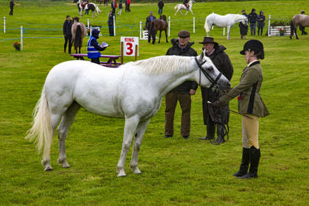MURRISK, COUNTY MAYO, IRELAND - Jul 21, 2019: Competitor shows off her pony in a horse show in rural Irelandのeditorial素材