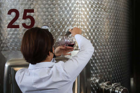TBILISI, GEORGIA - Sep 26, 2019: A Georgian Sommelier giving a wine tasting tour at a local winery....