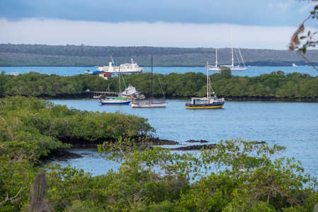 PUERTO AYORA, SANTA CRUZ ISLAND, GALAPAGOS, ECUADOR - Apr 15, 2019: View of Puerto Ayora harbour from one of the overlooks located at Las Grietas, at Santa Cruz Island, Galapagos, Ecuadorのeditorial素材