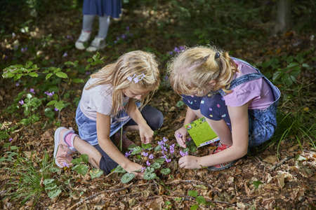 CELJE, SLOVENIA - Sep 10, 2019: Young children discover and explore beauty of nature in a green resort forest.のeditorial素材