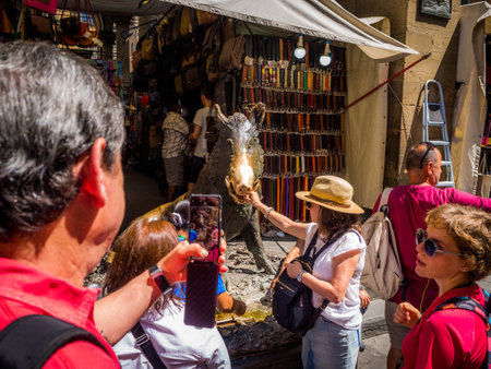 FLORENCE, ITALY - Jul 05, 2019: Fontana del Porcellino, a bronze boar rubbed by thousands of hands for luck. Tuscany, Italyのeditorial素材